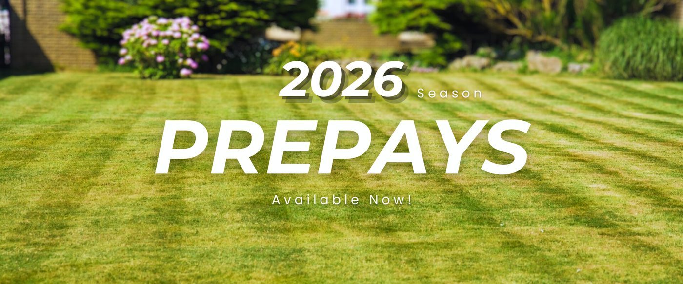 Spring Campaign Banner