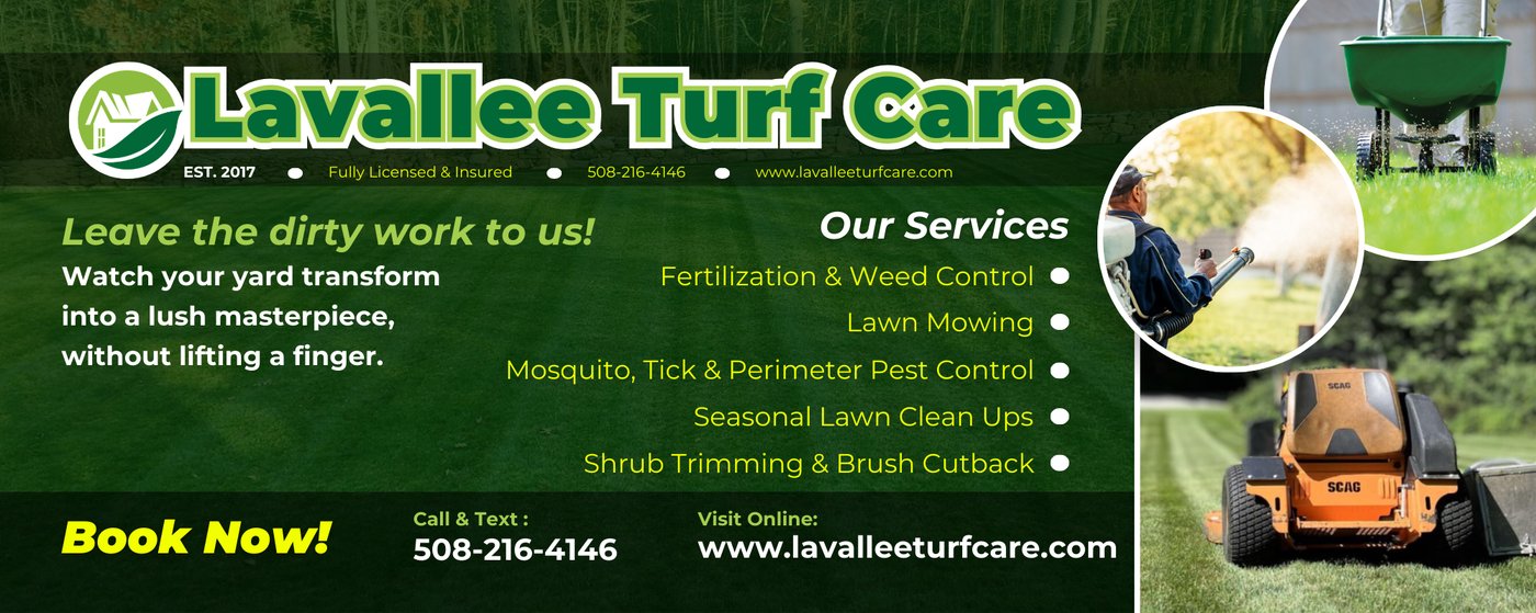 Direct Mail Postcard