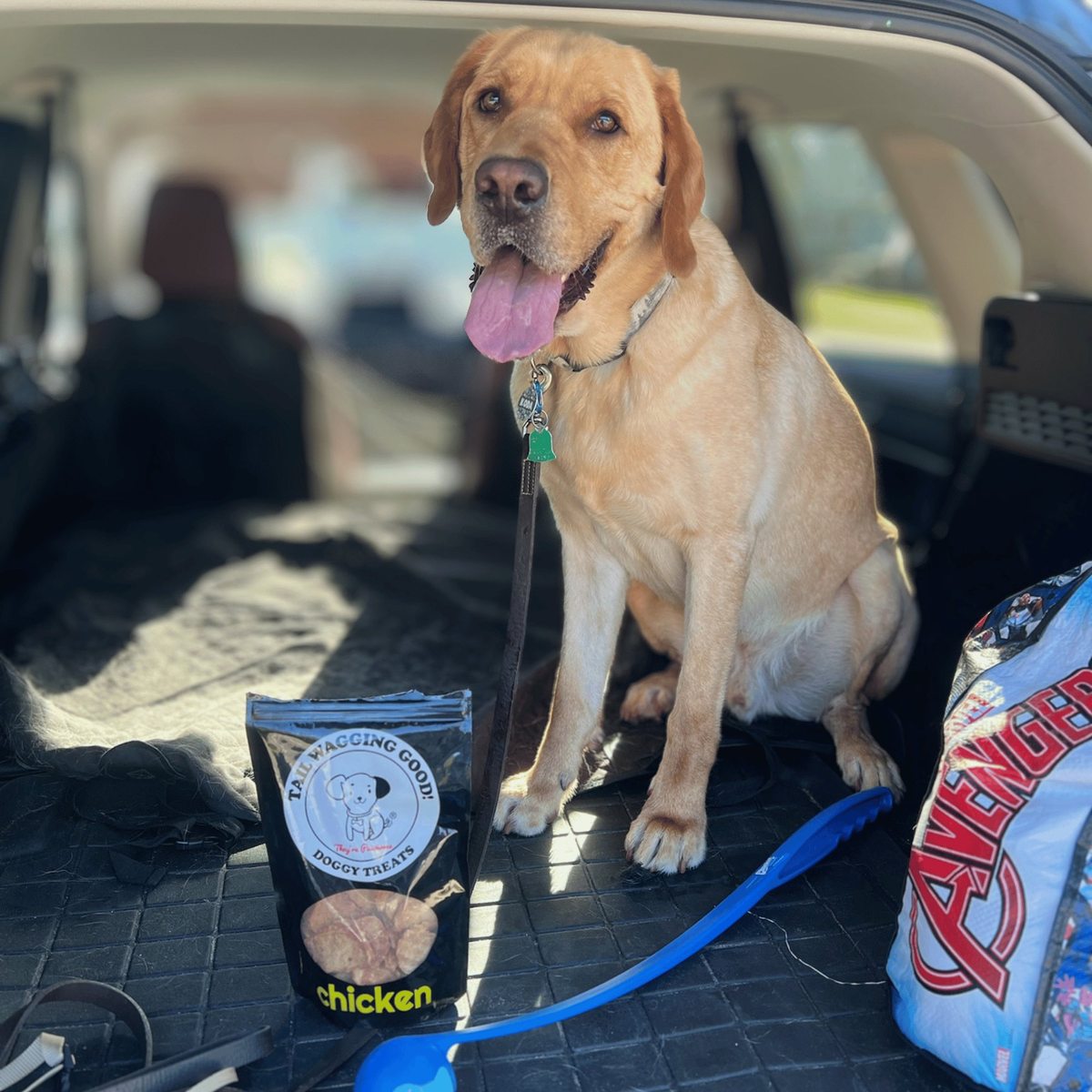 Tail Wagging Good Treats — Lab with product